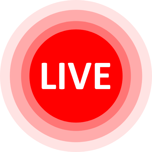 Vagina Cam